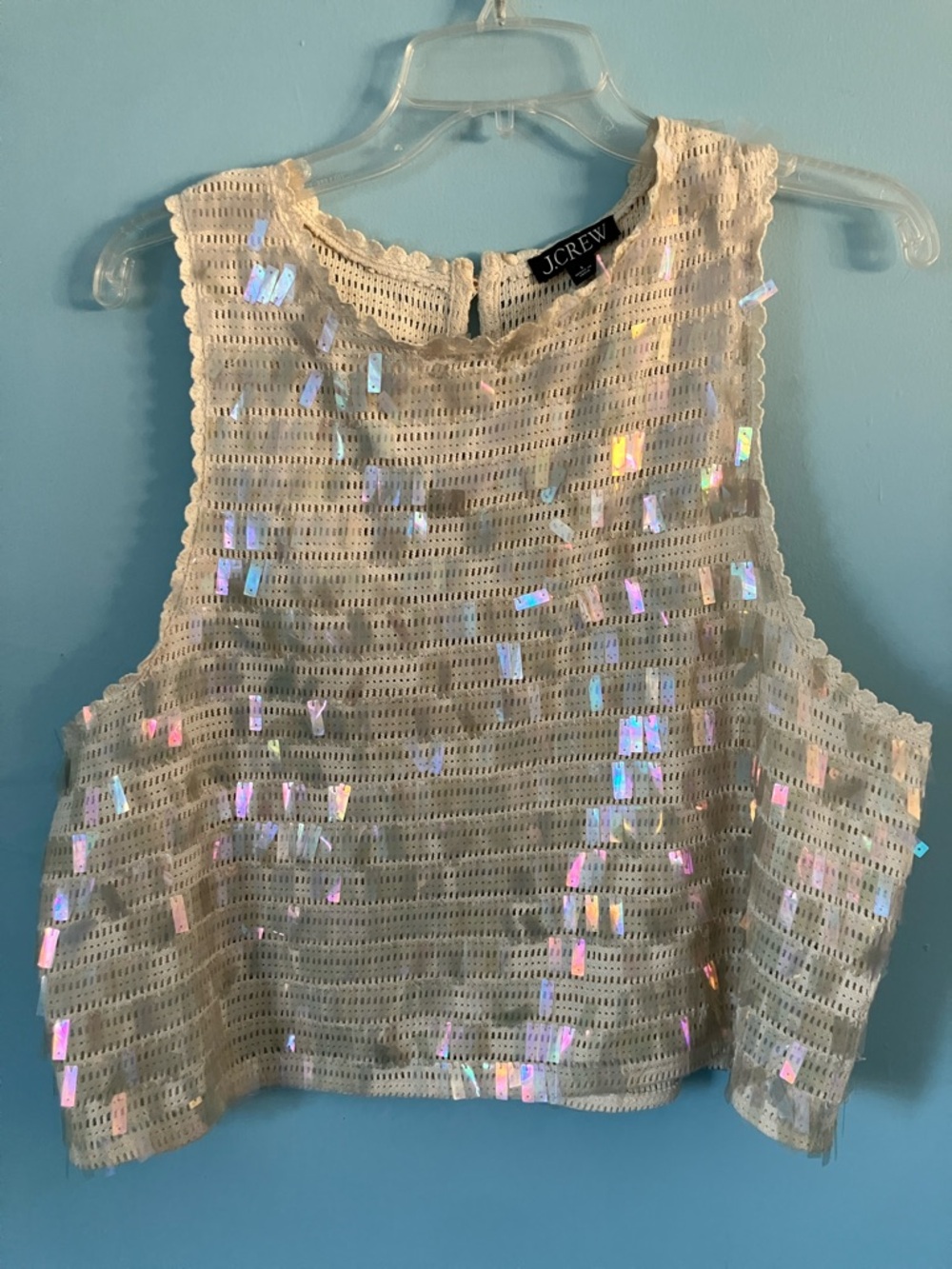 J. Crew Cream Crochet Sequin Crop Top